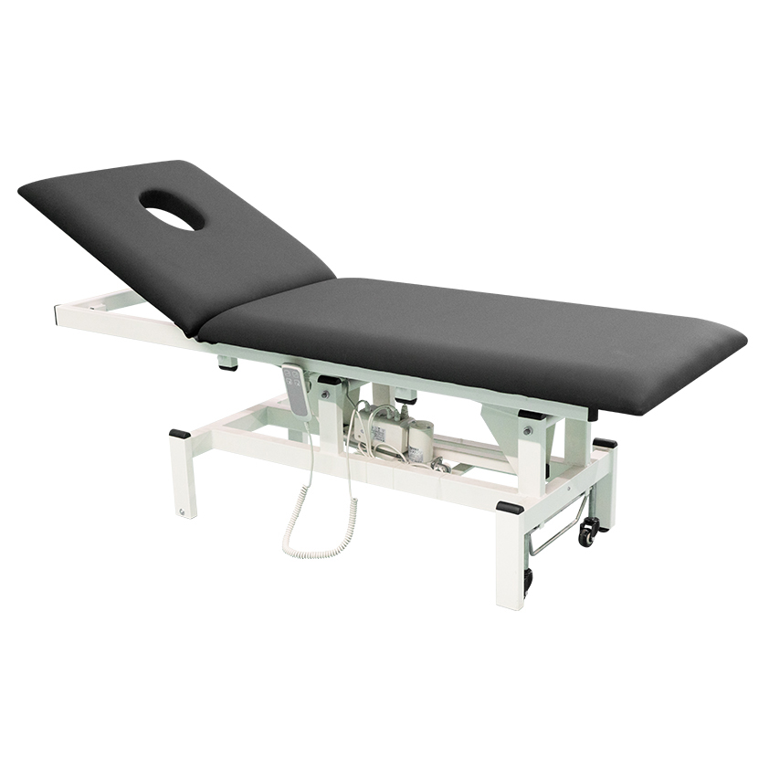 Electric  massage  bed