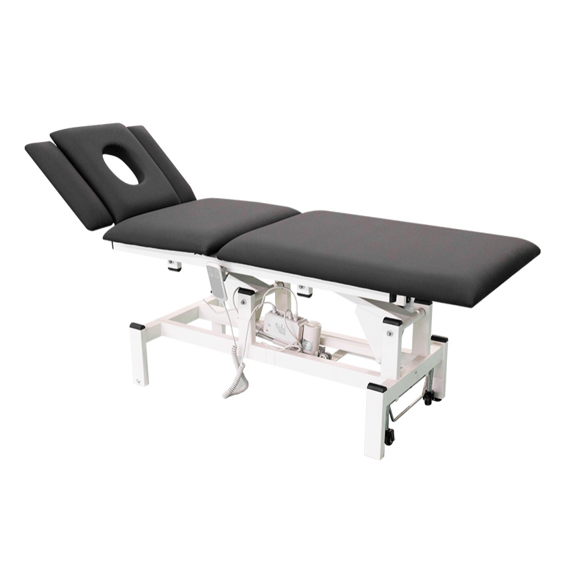 Electric  massage  bed